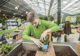 Assistent plant of (groene) leefomgeving