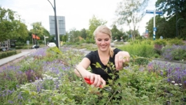 Medewerker hovenier