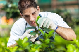 Medewerker teelt