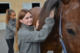 Vakbekwaam medewerker paardensport en -houderij